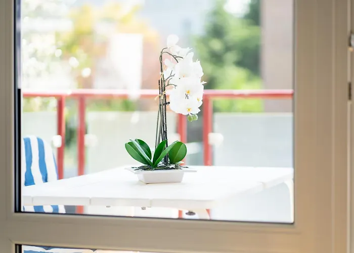 806 - Witthus Apartamento *